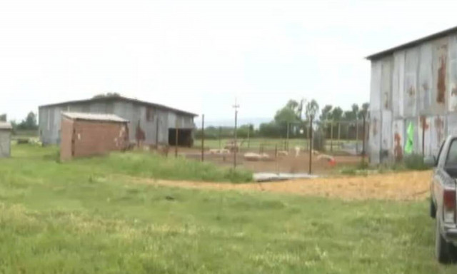 Νέες αποκαλύψεις για το έγκλημα στο Κιλκίς - Τι προηγούμενα είχαν με τον κτηνοτρόφο και «μπούκαραν»