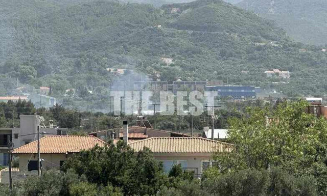 Φωτιά στην Πάτρα: Καίει κοντά σε οικισμό, εκκενώθηκαν σχολεία στο Πλατάνι