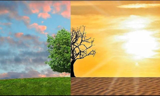 Οι επιστήμονες προειδοποιούν: Τα μισά από τα μαγκρόβια οικοσυστήματα του πλανήτη κινδυνεύουν