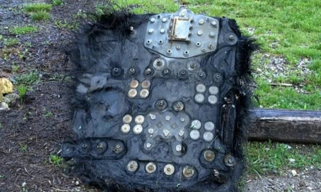 Κηπουρός ανακάλυψε παράξενο διαστημικό αντικείμενο: Ήταν καλυμμένο από μεταλλικά φύλλα (vid)