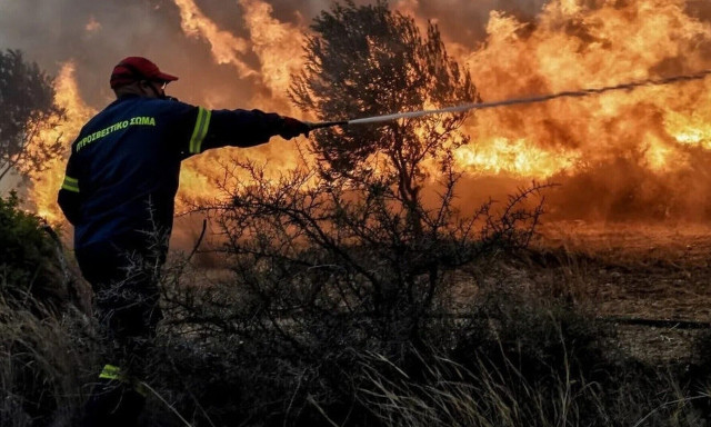 Πώς οι αστυνομικοί συνέλαβαν τον Τούρκο εμπρηστή για τη φωτιά στο όρος Αιγάλεω