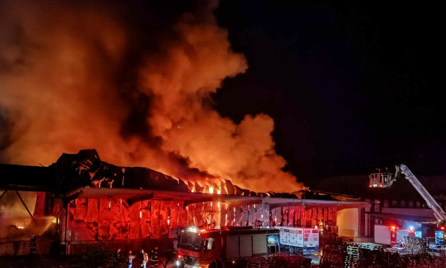 Εργοστάσιο με σχολικά γεύματα: Δύο πορίσματα και ένας ύποπτος- Τι λέει ο ιδιοκτήτης