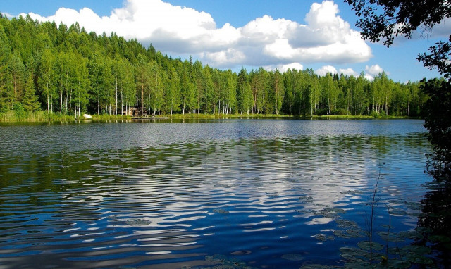 Φινλανδία: Σε συναγερμό η χώρα για το κύμα ζέστης που ήρθε πιο νωρίς από ποτέ