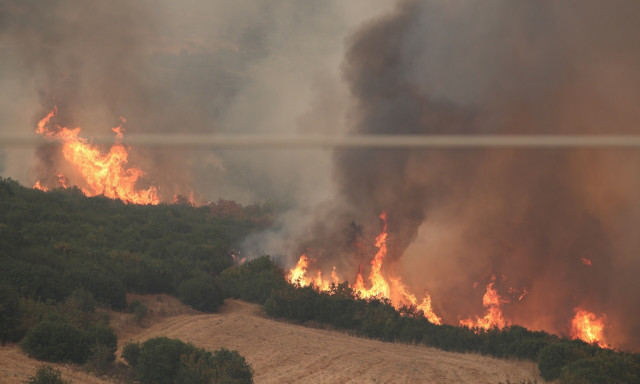 Φωτιά τώρα στην Κερατέα: Οι φλόγες κοντά στον οικισμό Δημολάκι