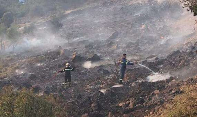 Άλσος Βεΐκου: Τρεις προσαγωγές ανηλίκων για την πυρκαγιά - Προκλήθηκε από βεγγαλικά