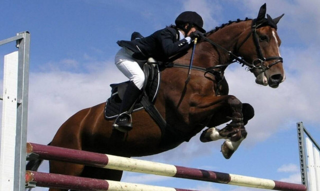 Τραγωδία στην Βρετανία: Επαγγελματίας ιππέας έπεσε από το άλογο και σκοτώθηκε