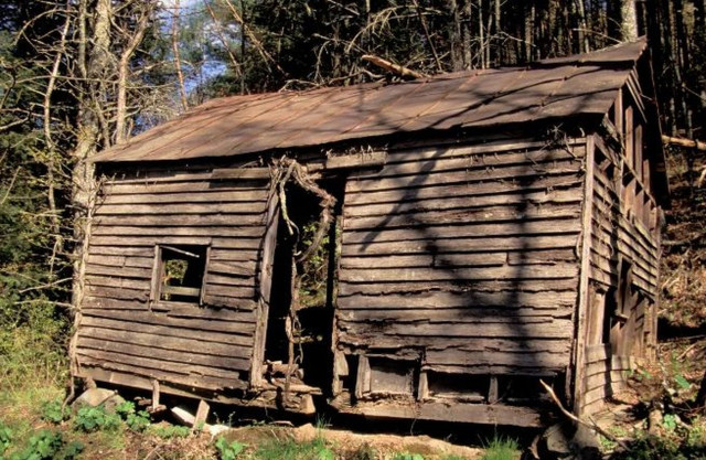 Μυστήριο στις ΗΠΑ: Κανίβαλοι απήγαγαν 5 άτομα - Φόβοι πως τους κατασπάραξαν