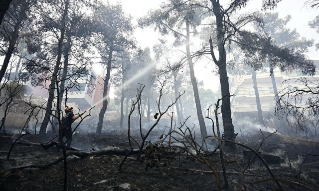 Ακαθάριστα οικόπεδα: Ανοικτή η πλατφόρμα για τη δήλωση καθαρισμού - «Φωτιά» τα πρόστιμα