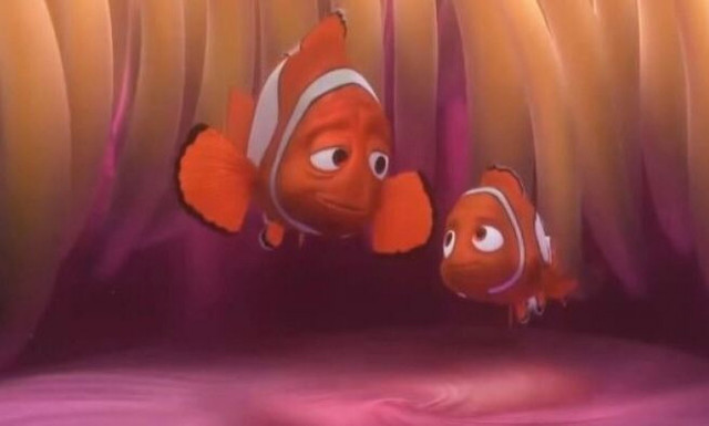 Η σκοτεινή θεωρία που κρύβεται πίσω από το «Ψάχνοντας τον Νέμο»