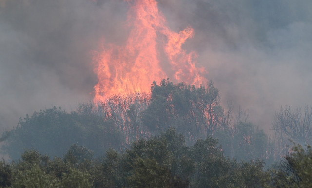 Φωτιά τώρα στο Μαρκόπουλο