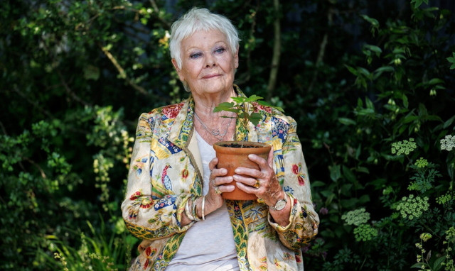 Συγκλονίζει η Τζούντι Ντεντς: «Δεν μπορώ να δω πια, σταματάω τις ταινίες»