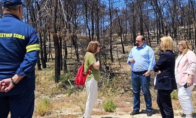 Ρόδος: Σχέδιο στήριξης και αποκατάστασης πάνω από 30 εκατ. ευρώ μετά τις φωτιές του 2023