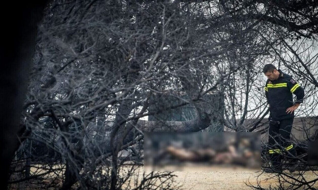 Μάτι: Ποινή φυλάκισης 30 μηνών με αναστολή στο Ματθαιόπουλο για τους εκβιασμούς στον πραγματογνώμονα