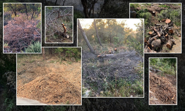 «Πυριτιδαποθήκη» ο Υμηττός: «SOS» για τεράστιους όγκους κομμένων δένδρων σε όλο το βουνό