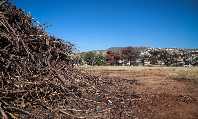 Ακαθάριστα οικόπεδα: Όσα πρέπει να κάνετε, για να μην σας επιβληθεί πρόστιμο