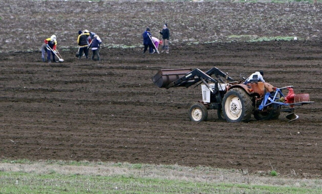 ΕΛΓΟ - ΔΗΜΗΤΡΑ: Ξεκίνησαν οι αιτήσεις για την Πιστοποίηση Γεωργικών Συμβούλων