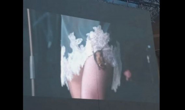 Χαμός πάνω στην πίστα - Νυχτερίδα δάγκωσε τραγουδίστρια ενώ τραγουδούσε