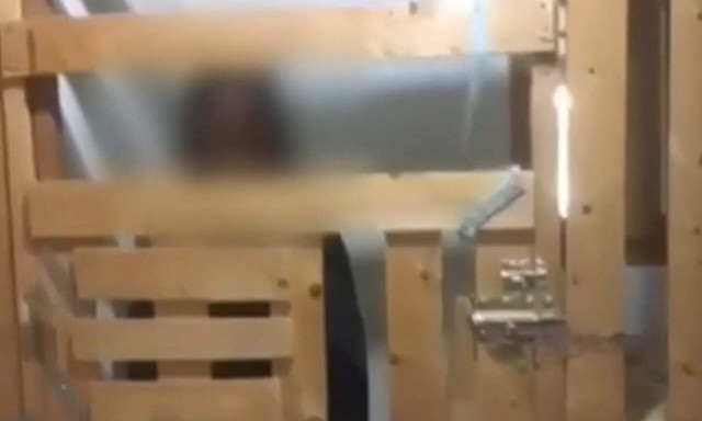 Καλαμάτα: Ελεύθεροι οι γονείς που είχαν την κόρη τους φυλακισμένη σε κλουβί