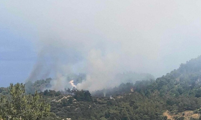 Φωτιά στη βόρεια Χίο - Επιχειρούν και εναέρια μέσα