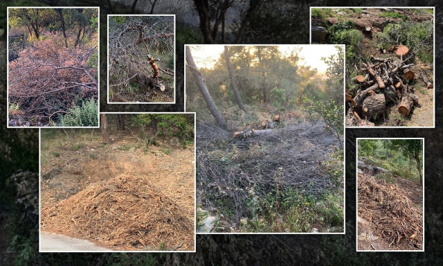 Ανακοίνωση της ΠΦΠΟ για το ρεπορτάζ του Newsbomb.gr: «SOS» για την καύσιμη ύλη στον Υμηττό