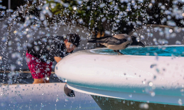 Καιρός - Καλλιάνος: Αποπνικτική η ατμόσφαιρα - Προ των πυλών νέο κύμα καύσωνα