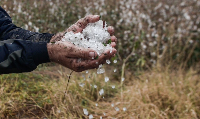 Ιωάννινα: Ισχυρή χαλαζόπτωση στο λεκανοπέδιο - Ζημιές σε αμπελοκαλλιέργειες
