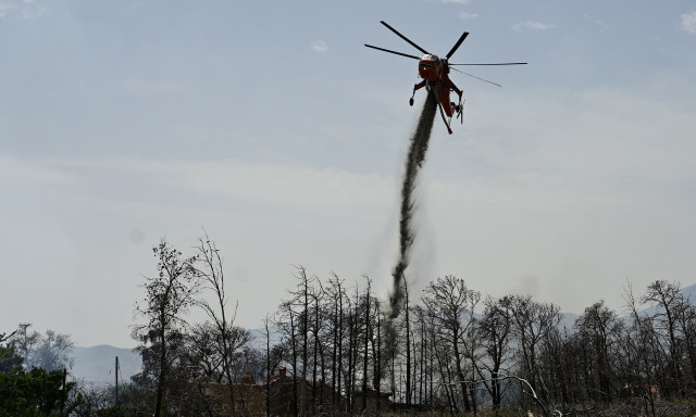 Πυροσβεστική: 40 αγροτοδασικές πυρκαγιές σε όλη τη χώρα το τελευταίο 24ωρο
