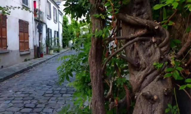 Χανιά: Εντοπίστηκε ο 70χρονος από τη Δανία - Γιατί βρέθηκε στο νοσοκομείο