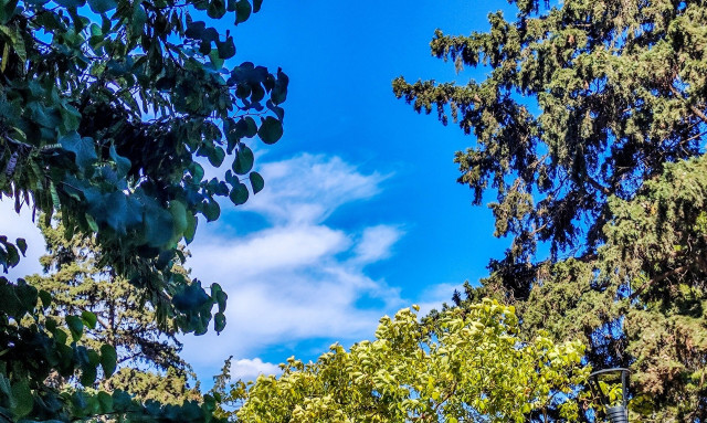 Ευρωεκλογές 2024: Με τι καιρό θα επιστρέψουν οι εκδρομείς