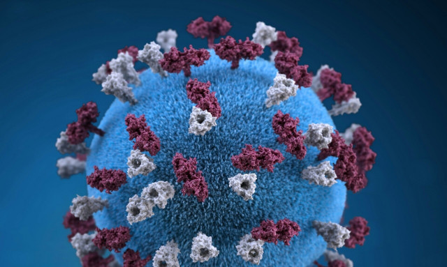 Συναγερμός: Η Ρωσία θωρακίζεται για μια νέα «ασθένεια Χ»