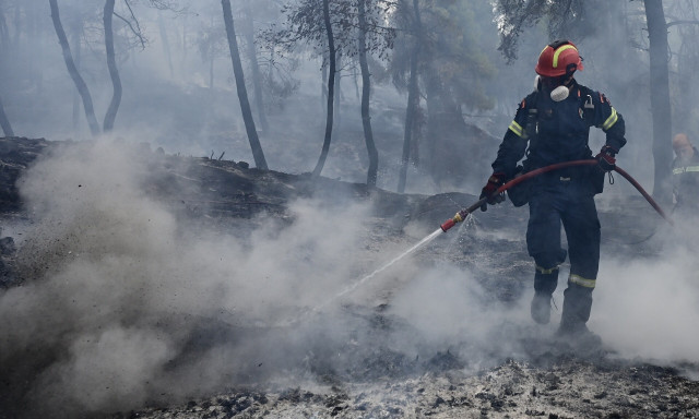 Πυροσβεστική: 31 πυρκαγιές μέσα σε ένα 24ωρο - Πολύ υψηλός κίνδυνος αύριο