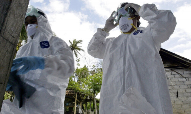 Παγκόσμιος συναγερμός: Φόβοι για πανδημία από κολοβακτηρίδιο - Μεταδίδεται από τα τρόφιμα