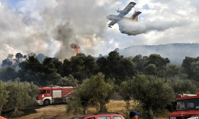 Φωτιά στο Μενίδι Αμφιλοχίας – Συνδράμουν και εναέρια μέσα στην επιχείρηση κατάσβεσης