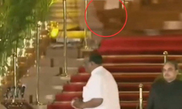 Ινδία: Λεοπάρδαλη... που ήταν γάτα εθεάθη στην ορκωμοσία της νέας κυβέρνησης