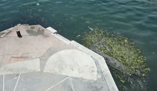 Θεσσαλονίκη: Επέστρεψε το φυτοπλαγκτόν στον Θερμαϊκό - Δείτε εναέρια πλάνα