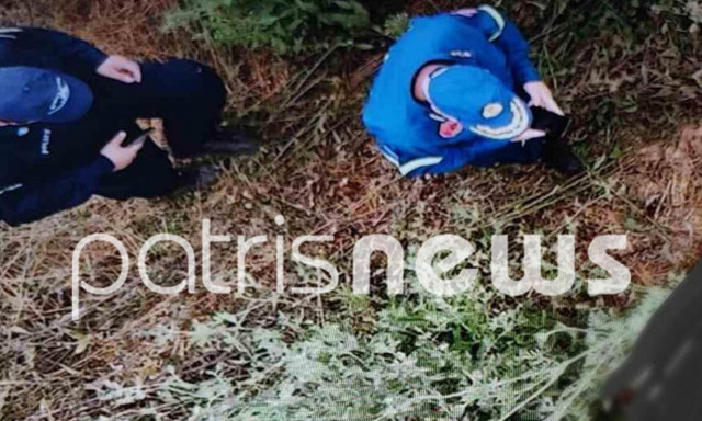 Τραγωδία στα Λεχαινά: Νεκρός εντοπίστηκε ο 87χρονος που είχε εξαφανιστεί