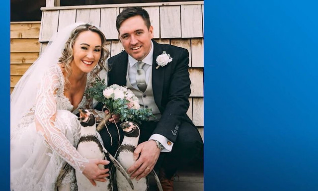 Απίθανη γαμήλια έκπληξη: Ο πιο αξιολάτρευτος ...παράνυφος είναι ένας πιγκουίνος