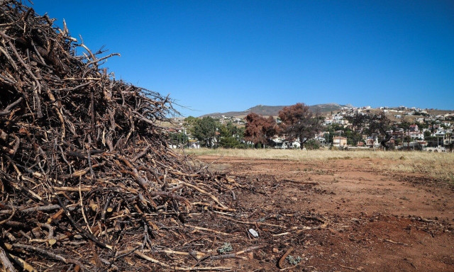 Ακαθάριστα οικόπεδα: «Γυμνή» η Αττική απέναντι στις φωτιές - Μέχρι πότε είναι η προθεσμία