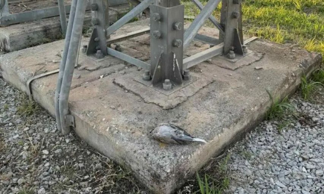 Τρίκαλα: Μπλακ άουτ από μια δεκαοχτούρα