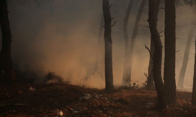 Συλλήψεις και πρόστιμα σε 4 άτομα για φωτιές σε Ηλεία, Αττική, Ιωάννινα και Πέλλα