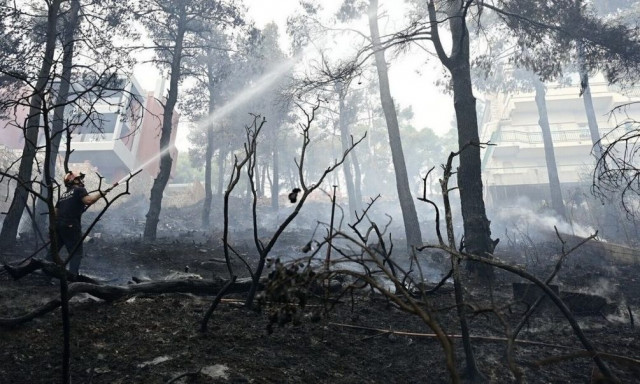 «Εμπρηστικές βόμβες» τα ακαθάριστα οικόπεδα - Κίνδυνος να πυρποληθεί η Πάρνηθα
