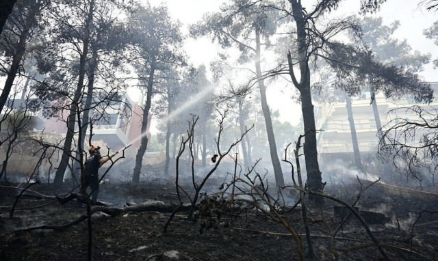 Πυροπροστασία ακινήτων: Εκπνέει σήμερα η προθεσμία για τις δηλώσεις των ακαθάριστων οικοπέδων