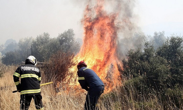 Καλαμάτα: Σε εξέλιξη φωτιά σε δασική έκταση στην περιοχή Αλιμάκι