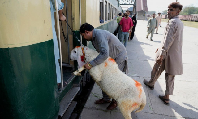 Σχεδόν 16.000 ερασιτέχνες χασάπηδες τραυματίσθηκαν σε διάφορες περιοχές της Τουρκίας