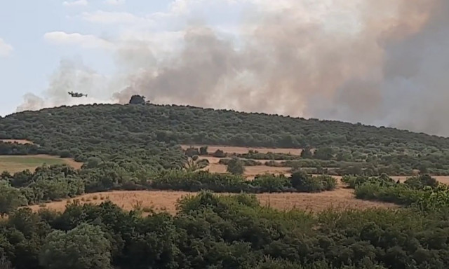 Συνελήφθη 30χρονος για τη φωτιά στη Νιγρίτα Σερρών