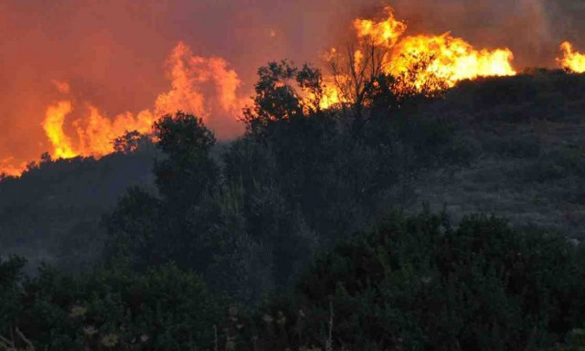 Φωτιά στη Νιγρίτα Σερρών - Ενισχύθηκαν οι πυροσβεστικές δυνάμεις