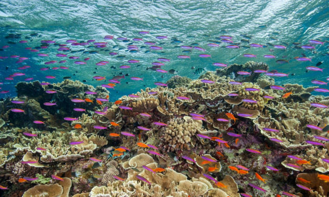 Τα κράτη-μέλη της ΕΕ καλούνται να κυρώσουν τη συμφωνία για την ανοικτή θάλασσα