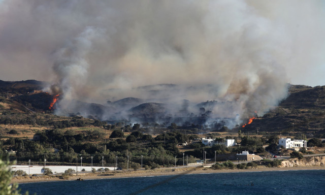Ναύπλιο: «Η φωτιά βγήκε στην θάλασσα», είπε ο δήμαρχος Ερμιονίδας για την πυρκαγιά στην Δάρδιζα