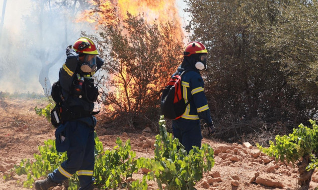 Πυρομετεωρολόγος για φωτιά στο Κορωπί: Δύσκολη η κατάσταση - Μία σπίθα αρκούσε