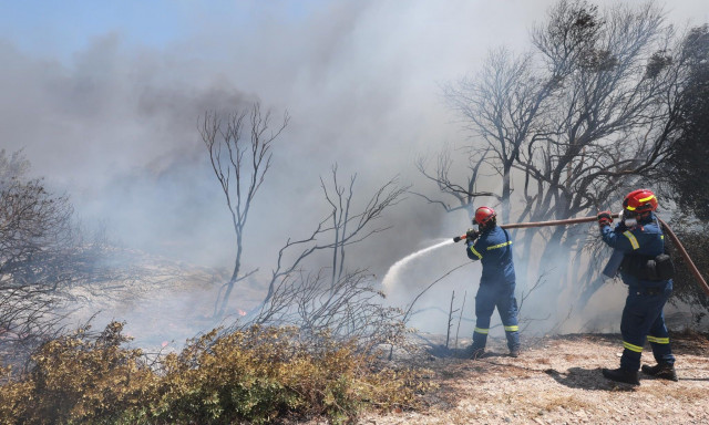 Φωτιά στη Μυροδάφνη Ιωαννίνων